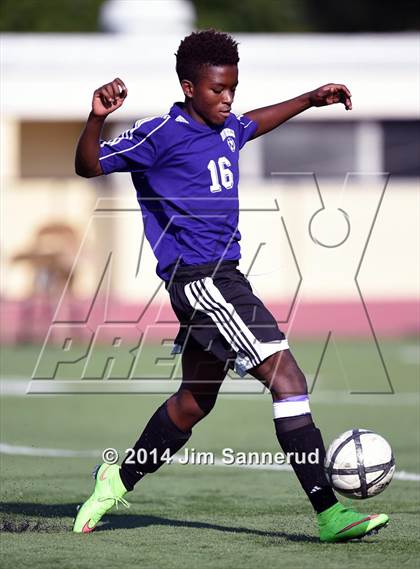 Thumbnail 1 in New Rochelle @ White Plains photogallery.