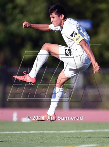 Thumbnail 3 in New Rochelle @ White Plains photogallery.