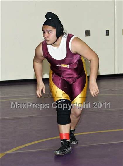 Thumbnail 1 in CIF State Girls Wrestling Championships (Semifinals) photogallery.