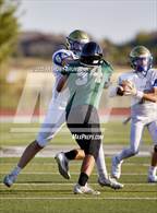 Photo from the gallery "Reed @ Twelve Bridges"