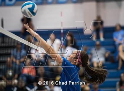 Thumbnail 1 in Crandall @ Rains photogallery.