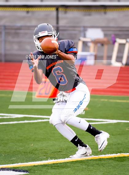 Thumbnail 2 in Jefferson @ Auburn Mountainview photogallery.