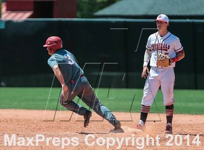 Thumbnail 2 in Curtis @ Belle Chasse photogallery.