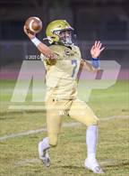 Photo from the gallery "Vincent Memorial @ Calexico (Battle for the Border)"