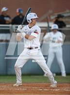 Photo from the gallery "Terry @ Fulshear"