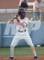Photo from the gallery "Terry @ Fulshear"