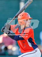 Photo from the gallery "Southern Lee @ Pinecrest"