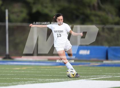 Thumbnail 3 in San Pedro @ El Camino Real (CIF LAS DI Quarterfinal) photogallery.