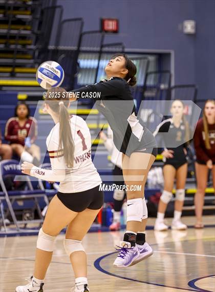 Thumbnail 2 in Whitney @ Vista del Lago photogallery.