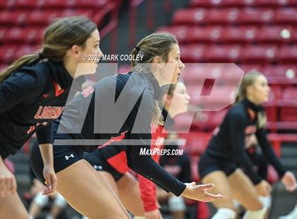 Thumbnail 3 in Moody @ Lorena photogallery.