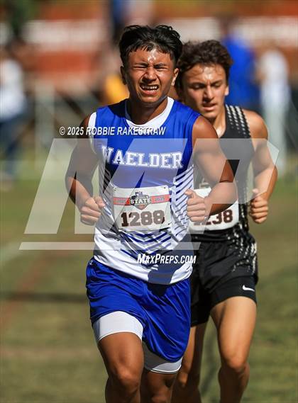 Thumbnail 3 in UIL 1A Boys Cross Country State Final photogallery.