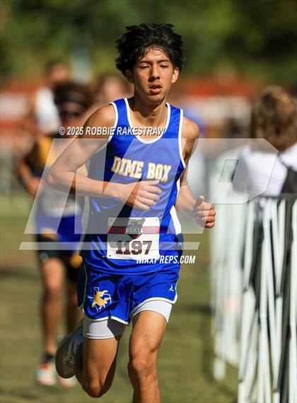 Thumbnail 1 in UIL 1A Boys Cross Country State Final photogallery.