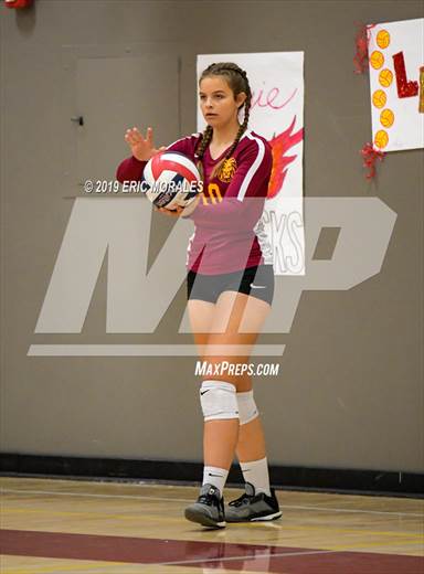 null - Photo 41
