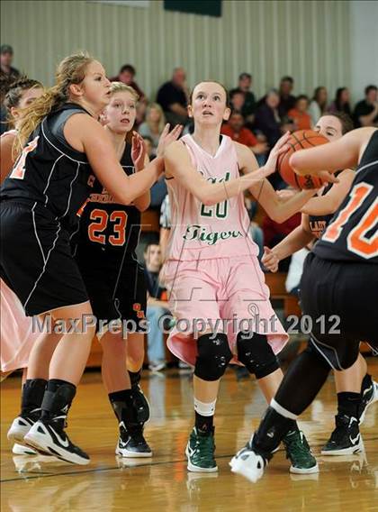 Thumbnail 3 in Greenback @ Rockwood photogallery.