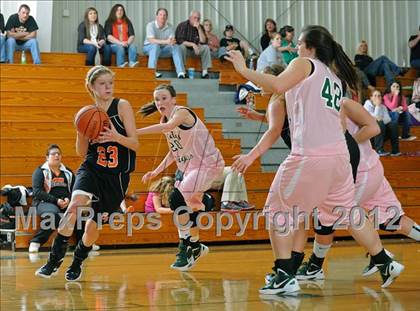 Thumbnail 3 in Greenback @ Rockwood photogallery.