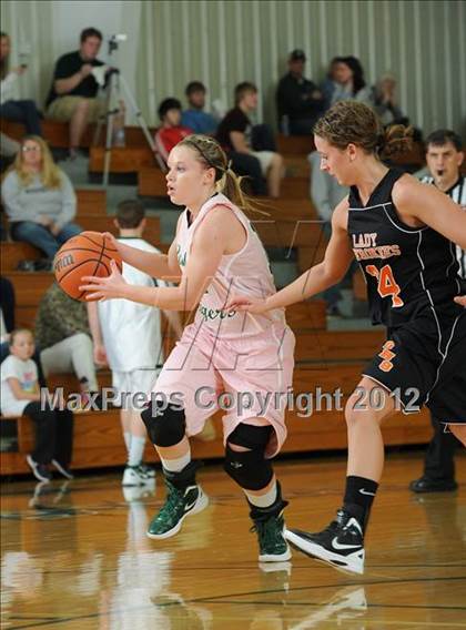 Thumbnail 3 in Greenback @ Rockwood photogallery.