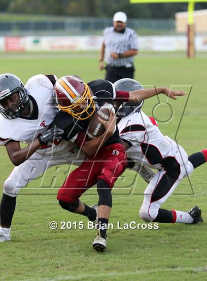 Thumbnail 3 in Parker @ West Nassau photogallery.