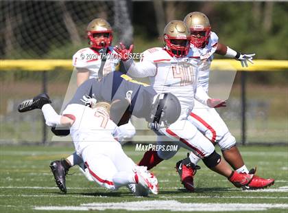 Thumbnail 1 in Edison vs Franklin photogallery.