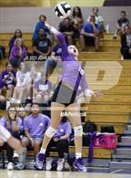 Photo from the gallery "Heritage @ Leo"