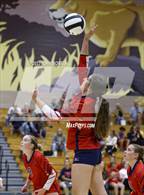 Photo from the gallery "Heritage @ Leo"