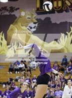 Photo from the gallery "Heritage @ Leo"