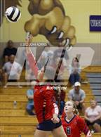 Photo from the gallery "Heritage @ Leo"