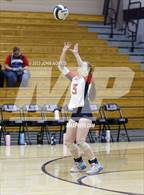 Photo from the gallery "Heritage @ Leo"