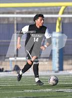 Photo from the gallery "Troy @ Villa Park"