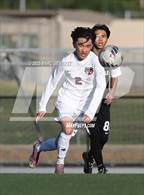 Photo from the gallery "Troy @ Villa Park"