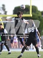 Photo from the gallery "Troy @ Villa Park"