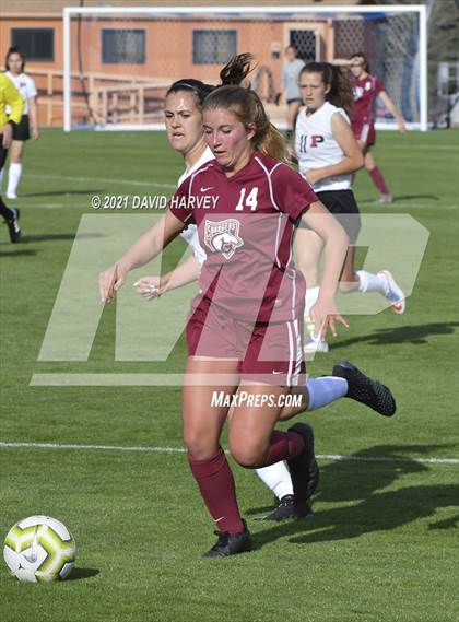 Thumbnail 2 in Pomona @ Chatfield photogallery.