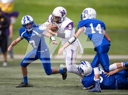 Thumbnail 3 in Denver North @ Alameda photogallery.
