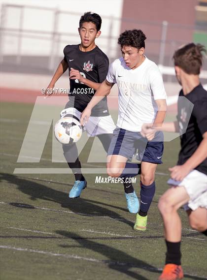 Thumbnail 1 in Muir vs Ayala photogallery.