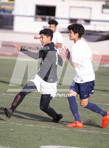Thumbnail 3 in Muir vs Ayala photogallery.