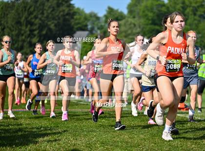 Thumbnail 1 in GlenOak Golden Eagle Invitational photogallery.