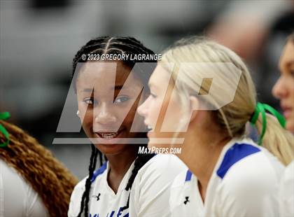 Thumbnail 1 in Allen vs Guyer photogallery.