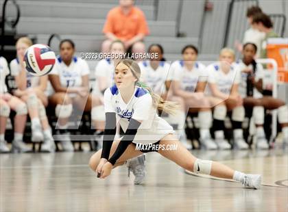 Thumbnail 3 in Allen vs Guyer photogallery.