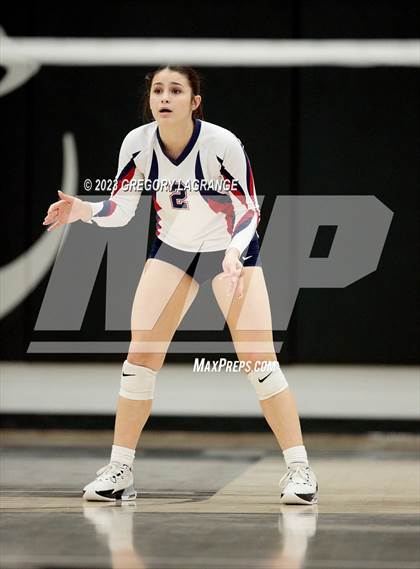 Thumbnail 1 in Allen vs Guyer photogallery.