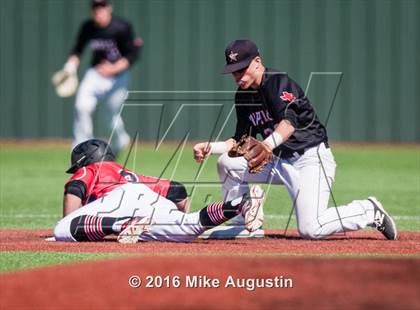 Thumbnail 1 in Coppell @ Lovejoy photogallery.