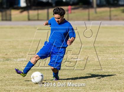 Thumbnail 3 in Mulberry @ McKeel Academy photogallery.
