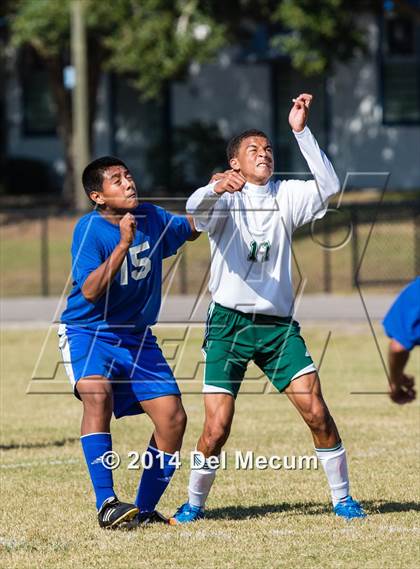 Thumbnail 1 in Mulberry @ McKeel Academy photogallery.