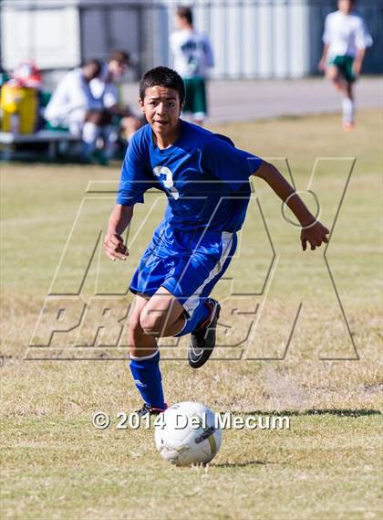 Thumbnail 1 in Mulberry @ McKeel Academy photogallery.