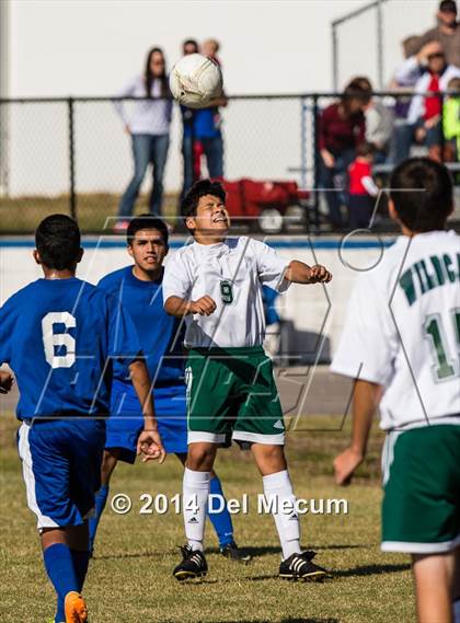 Thumbnail 1 in Mulberry @ McKeel Academy photogallery.