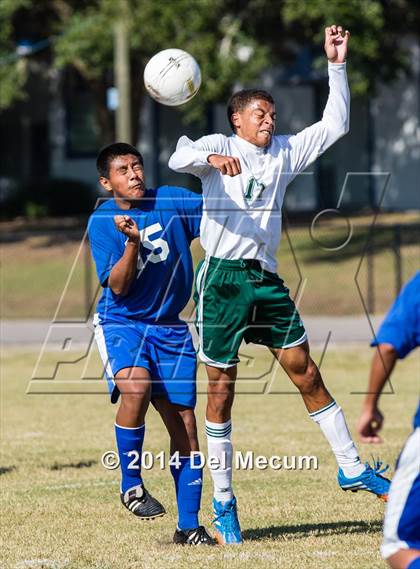 Thumbnail 2 in Mulberry @ McKeel Academy photogallery.