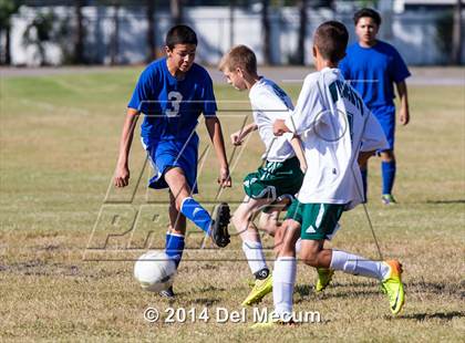 Thumbnail 2 in Mulberry @ McKeel Academy photogallery.