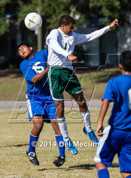 Thumbnail 3 in Mulberry @ McKeel Academy photogallery.