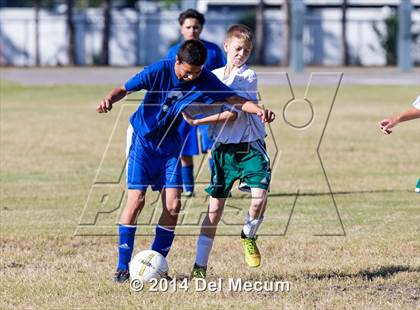 Thumbnail 1 in Mulberry @ McKeel Academy photogallery.