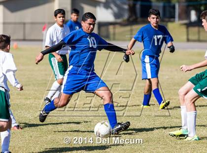 Thumbnail 2 in Mulberry @ McKeel Academy photogallery.