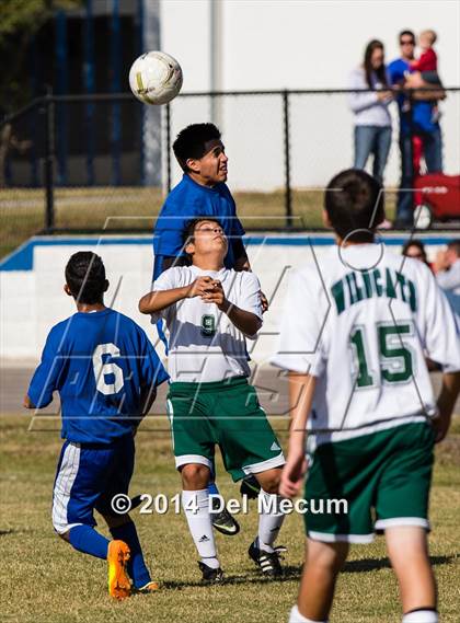 Thumbnail 2 in Mulberry @ McKeel Academy photogallery.