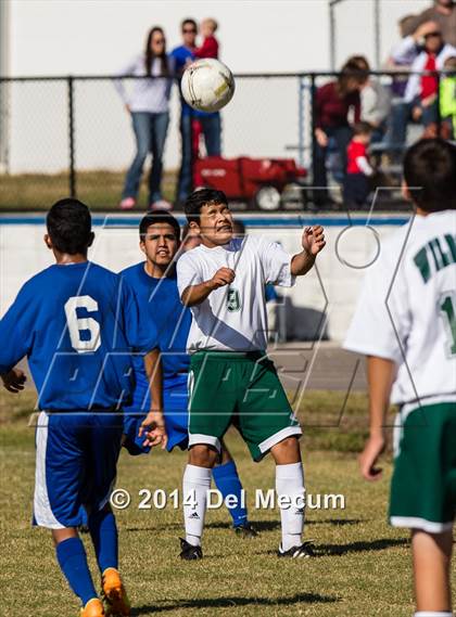 Thumbnail 3 in Mulberry @ McKeel Academy photogallery.